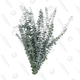 Image for article titled 5 Essentials for Making It Through Allergy Season